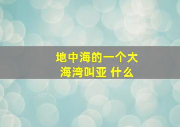 地中海的一个大海湾叫亚 什么